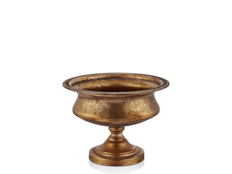 PLAIN GOLD GENIS SAKSI