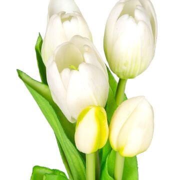 İTHAL ISLAK DOKULU LALE BEYAZ 33 CM