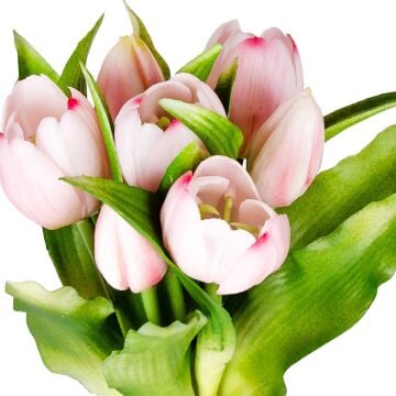 İTHAL ISLAK DOKULU LALE PEMBE 26 CM