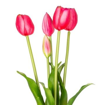 İTHAL ISLAK DOKULU LALE PEMBE 40 CM