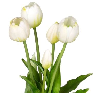 İTHAL ISLAK DOKULU LALE PEMBE 40 CM