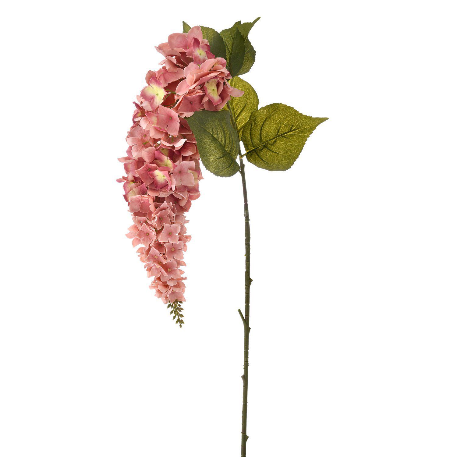 SARMAŞIK ORTANCA PEMBE