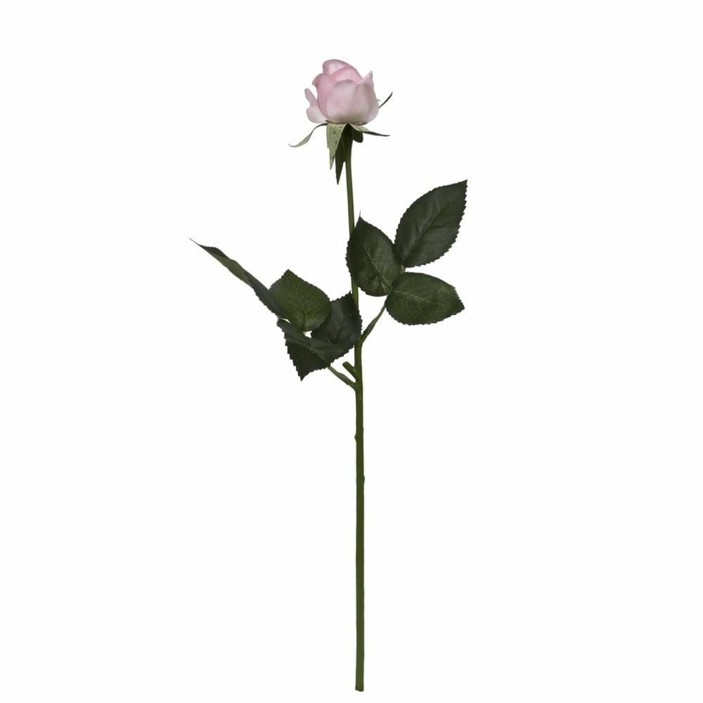 PEMBE GÜL