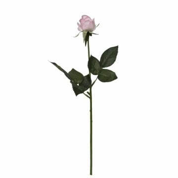 PEMBE GÜL