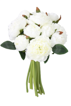 Lüx Tırtıklı 11li Erengül Buketi Beyaz