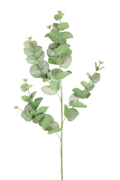 Okaliptus Dalı 88 cm Yeşil